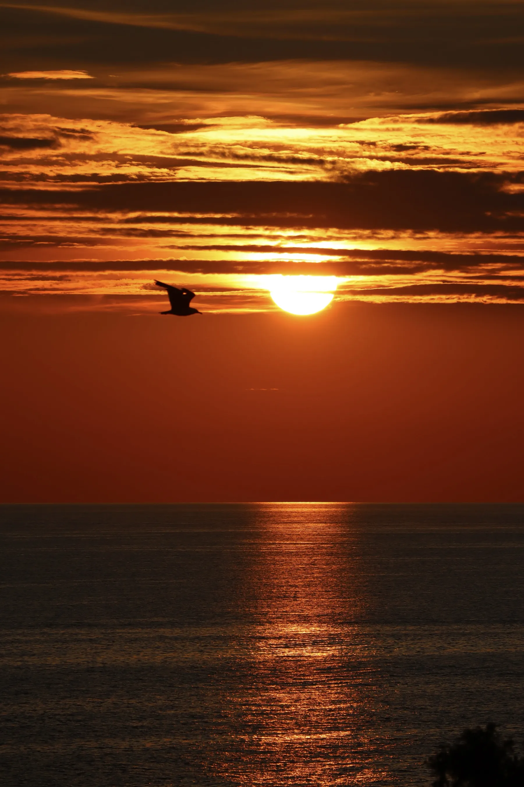 Nature 9